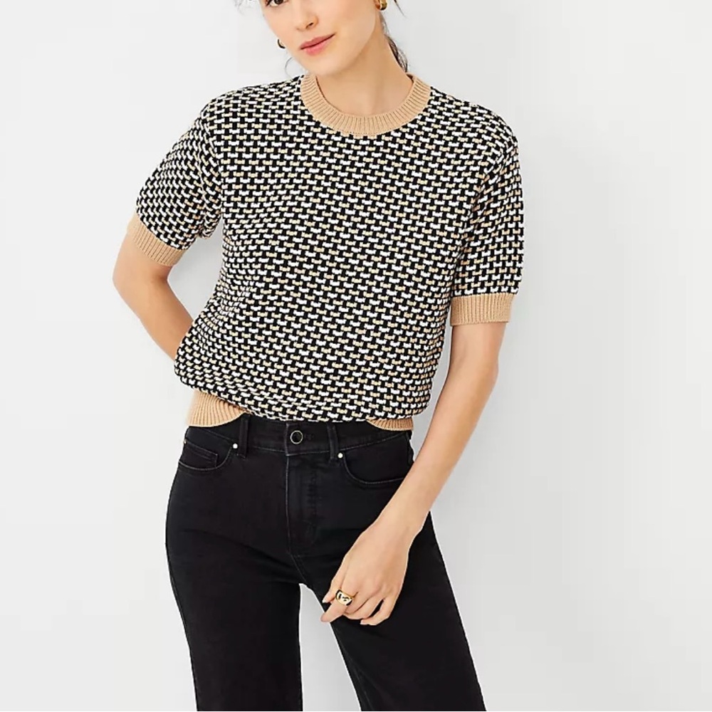 Ann Taylor Petite Geo Stitch Wedge Sweater Tee